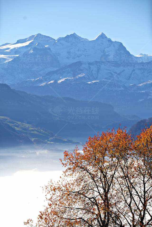 秋树映衬下的秀丽山景